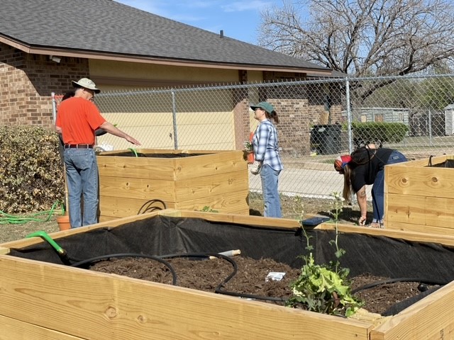 Community Garden 1