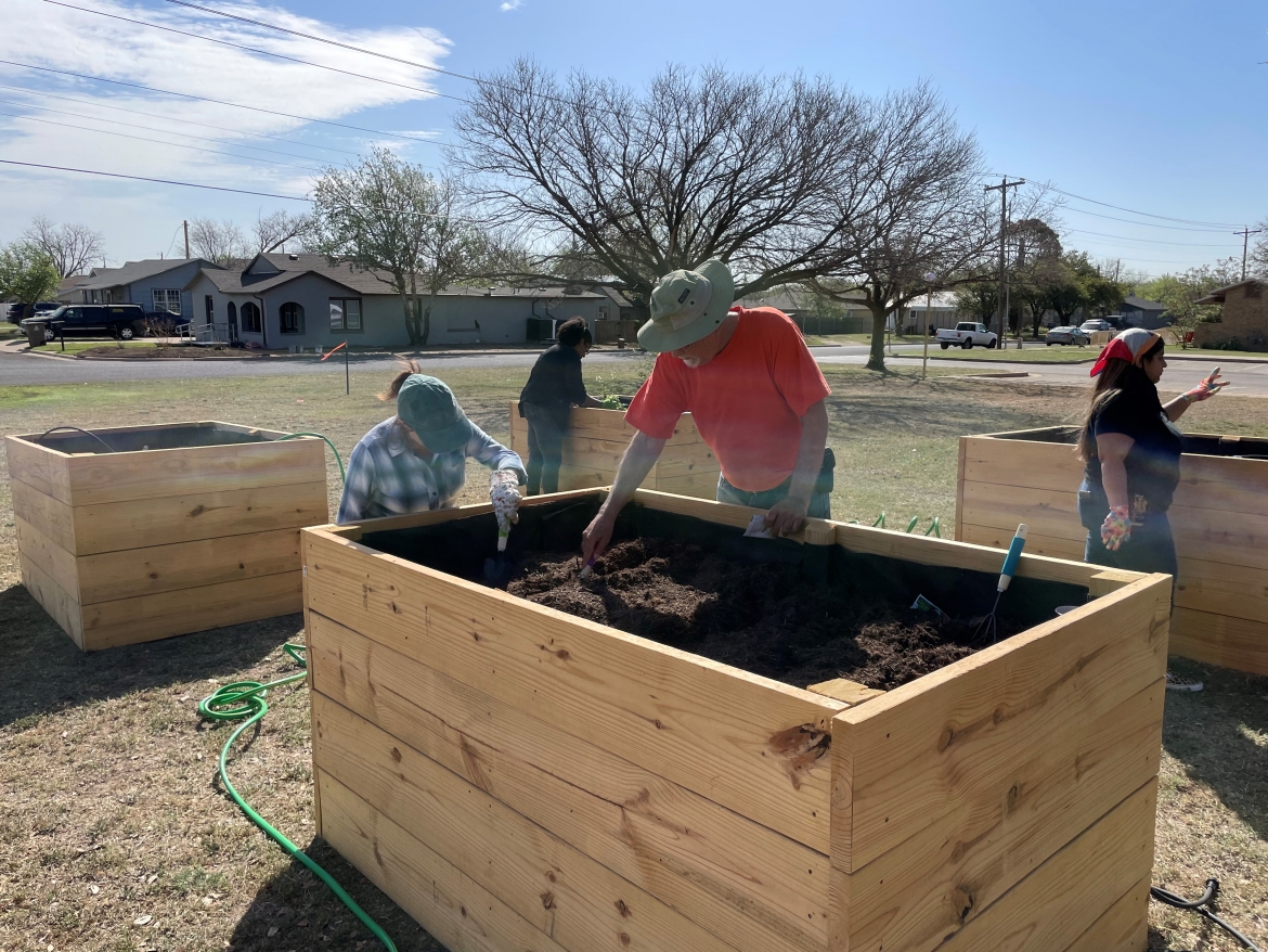 Community Garden 2