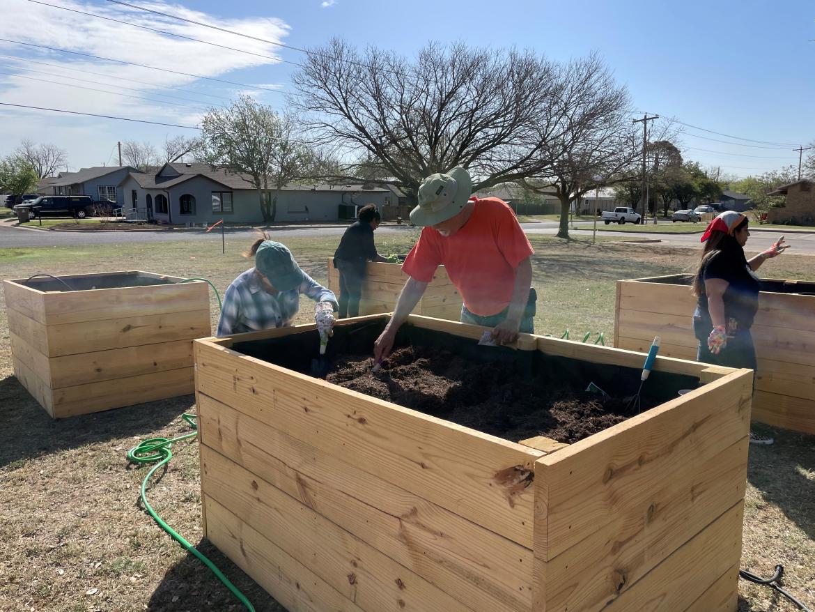 Community Garden 2