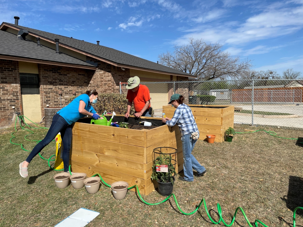 Community Garden 4