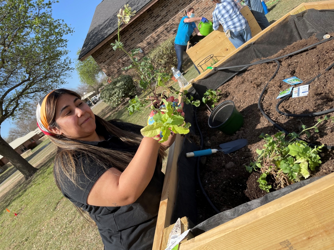 Community Garden 5