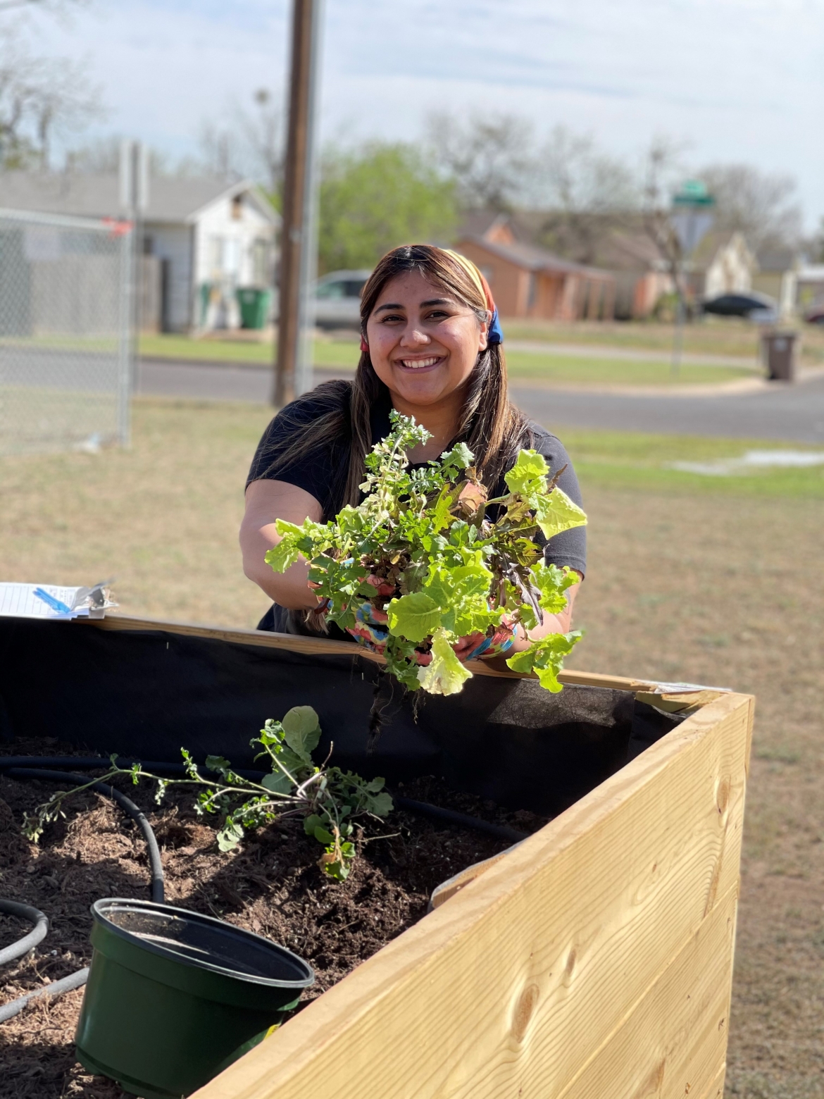 Community Garden 6