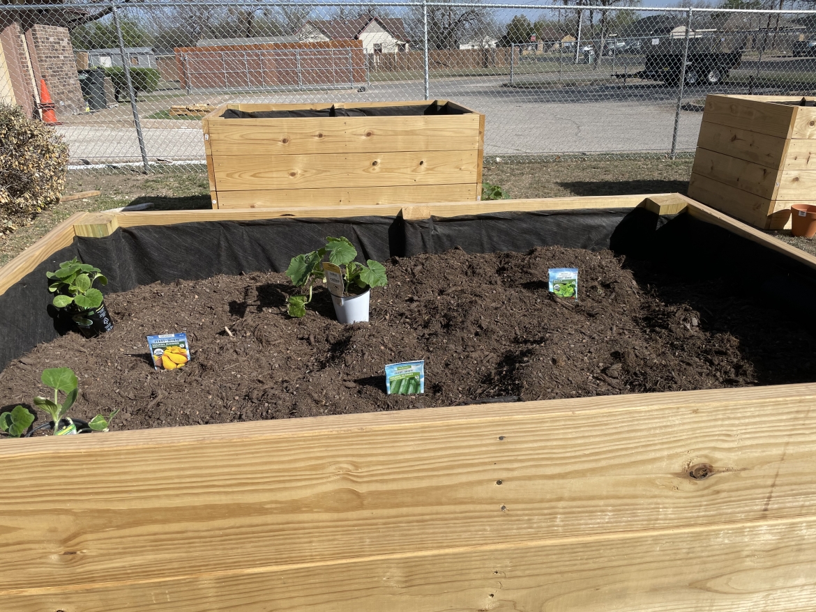 Community Garden 7