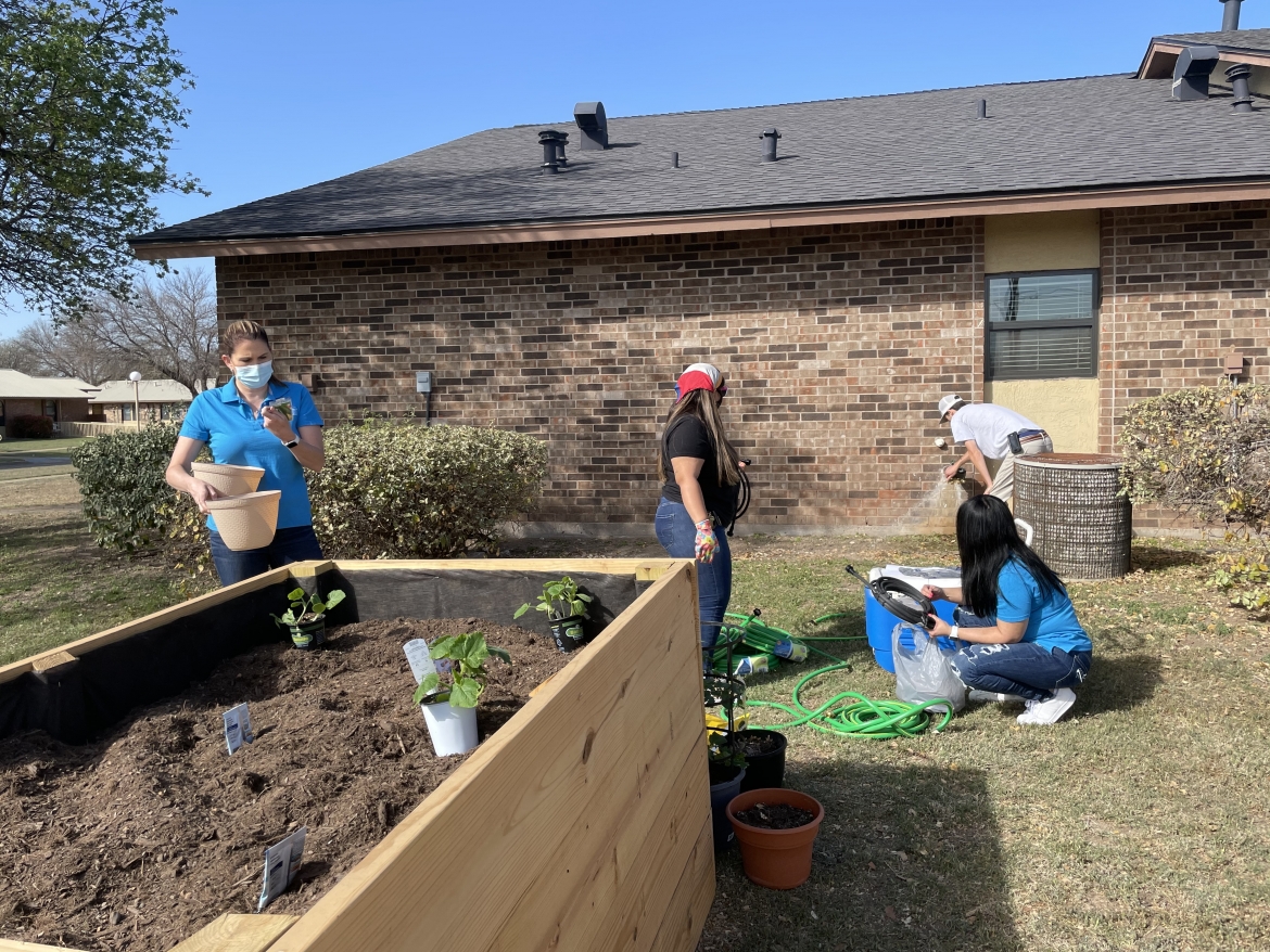 Community Garden 9