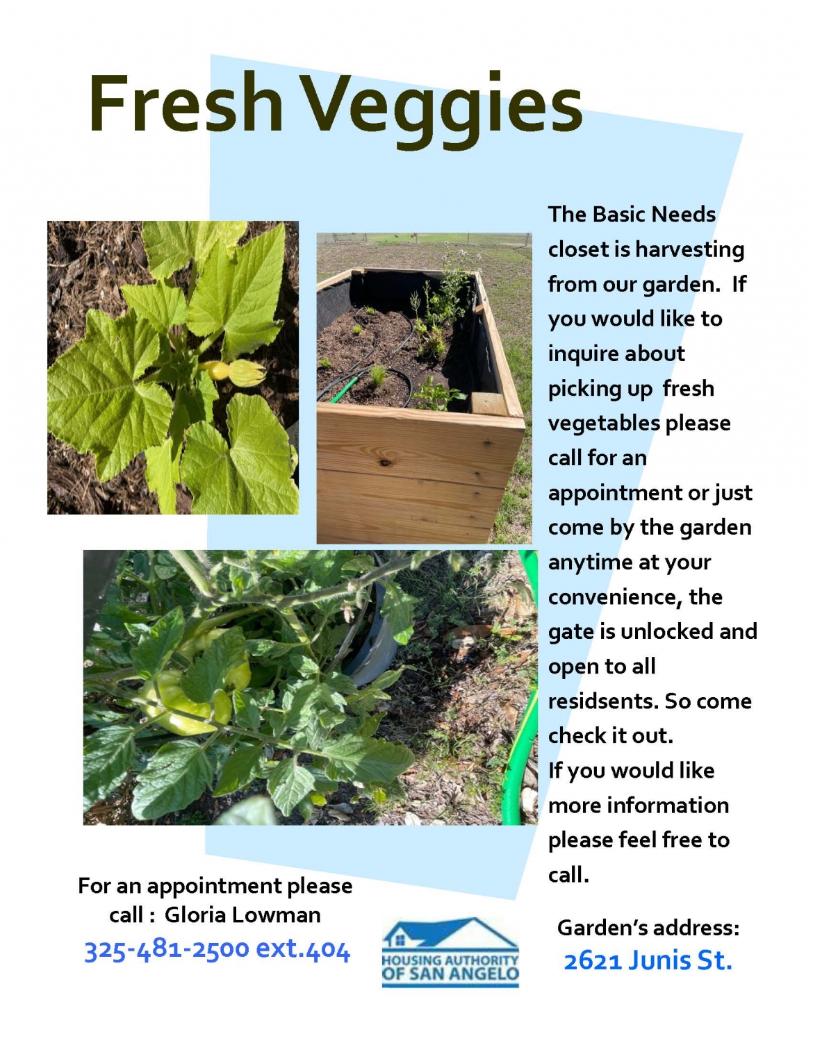 Garden veggie flyer