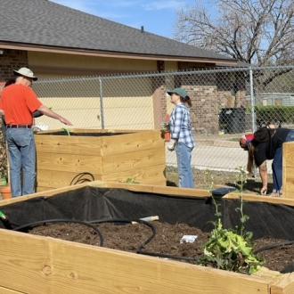 Community Garden 1