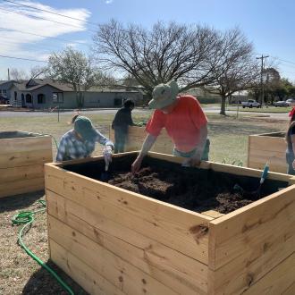 Community Garden 2