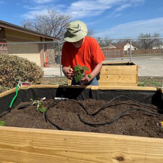 Community Garden 3
