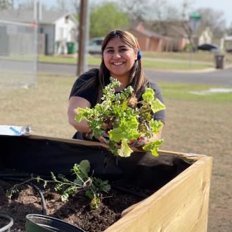 Community Garden 6