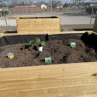 Community Garden 7