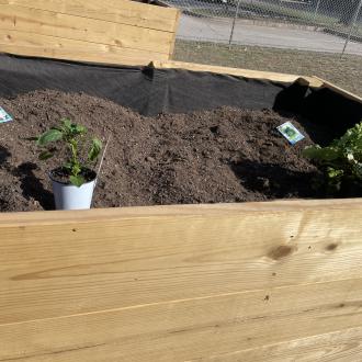 Community Garden 8